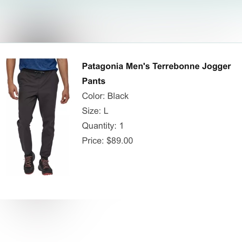 Patagonia Men’s Terrebonne Joggers